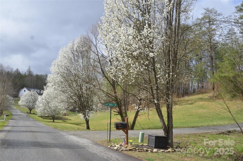 Property image 2 of 63 Ivy Meadows Drive in Ivy Meadows, Weaverville, NC 28787