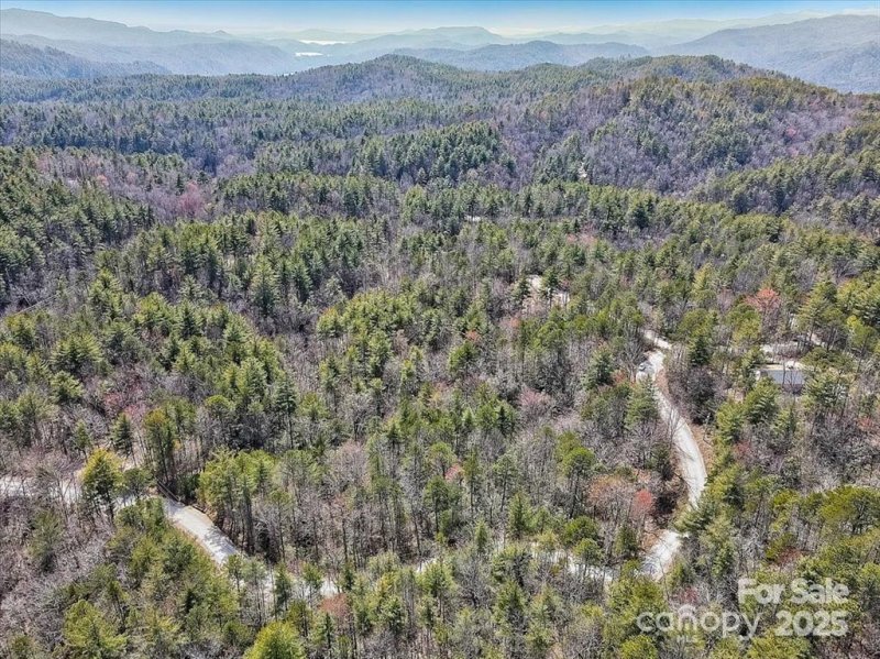 Property image 4 at 99 Oak Laurel Road, Brevard, NC 28712