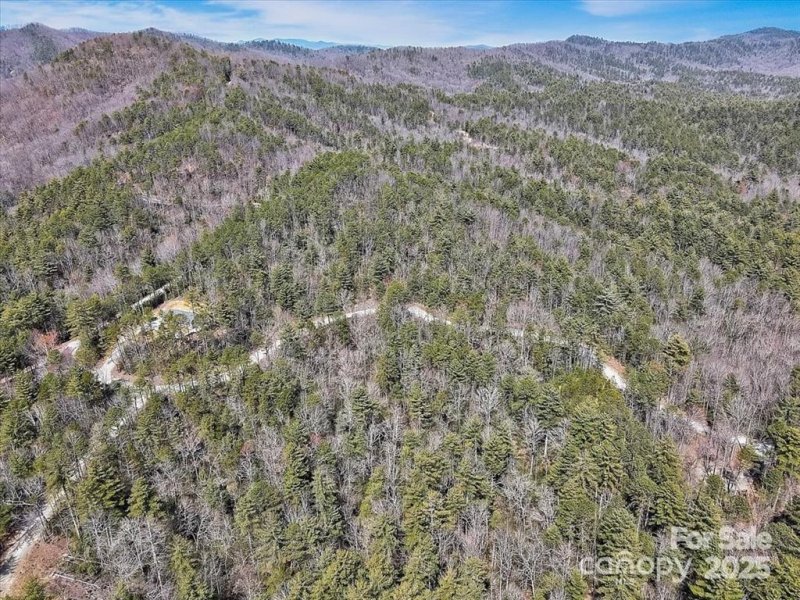 Property image 5 at 99 Oak Laurel Road, Brevard, NC 28712