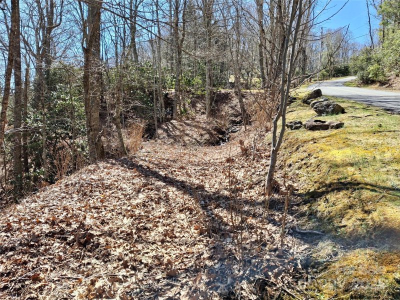 Property image 4 of 0 Eagles Nest Road in Eagles Nest Mountain, Waynesville, NC 28786