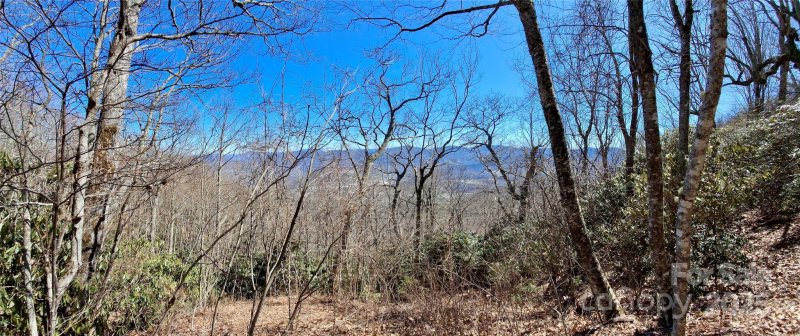 Property image 5 of 0 Eagles Nest Road in Eagles Nest Mountain, Waynesville, NC 28786