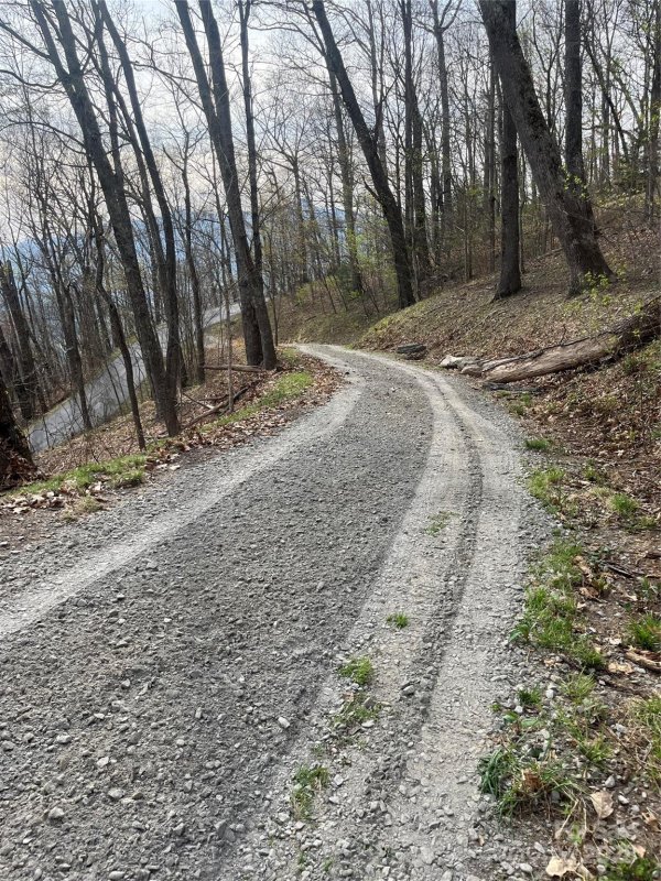 Property image 2 at 000 Weatherwatch Lane, Waynesville, NC 28786