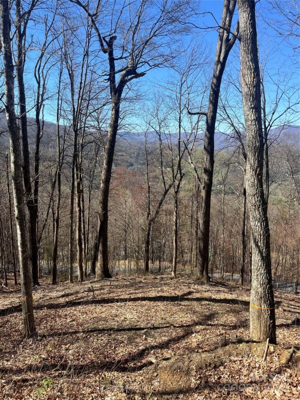 Property image 4 at 000 Weatherwatch Lane, Waynesville, NC 28786