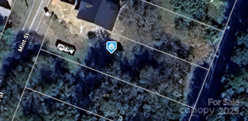 411 Mint Street