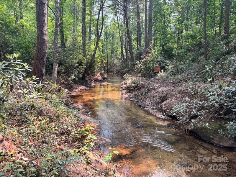 Stones Lake, Cedar Mountain Community