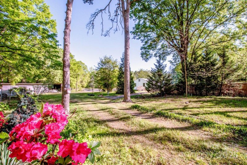 Austin Park, Charlotte Community