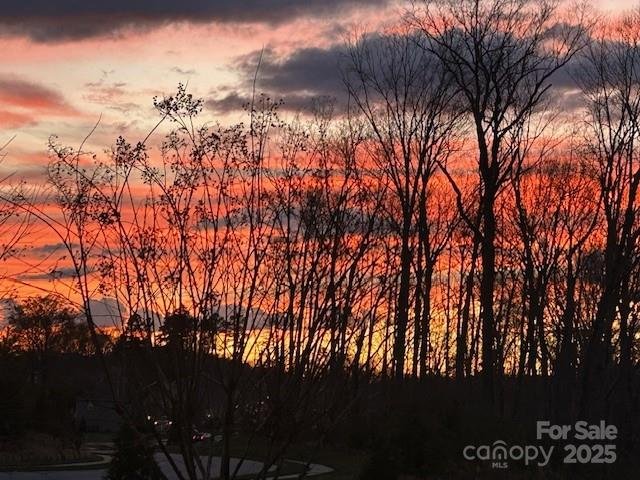 Property image 4 at 121 Hanks Bluff Drive, Mooresville, NC 28117