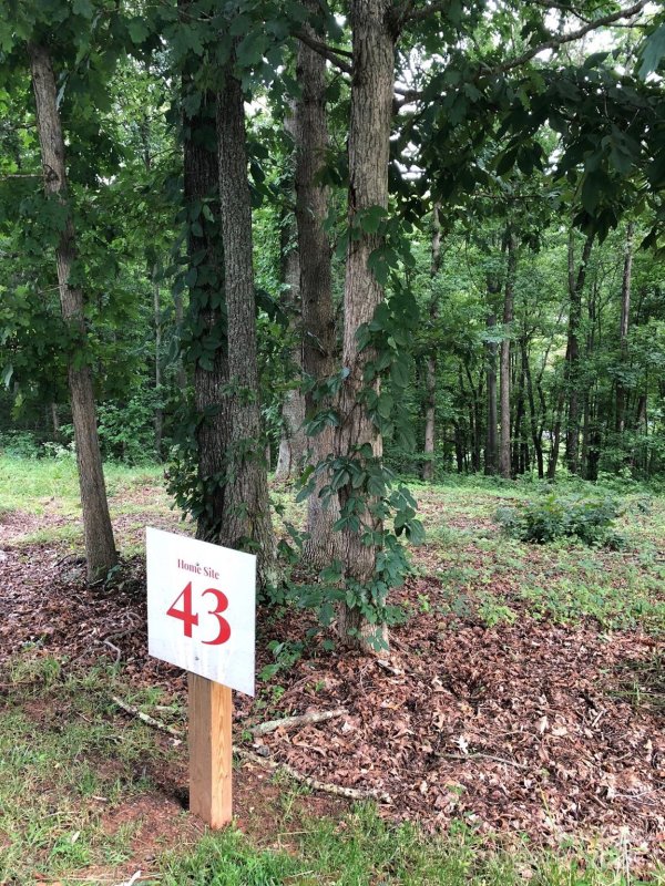 Property image 3 of 45 Sweet Fern Parkway in Olivette, Asheville, NC 28804