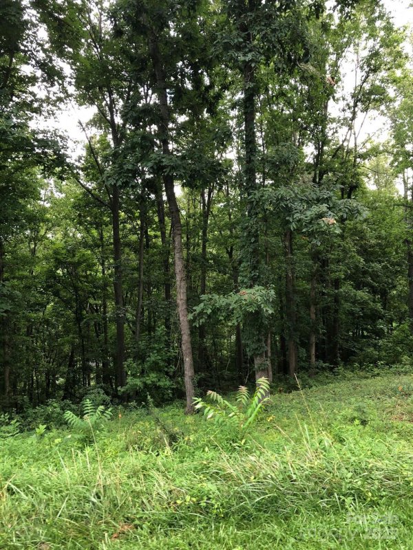 Property image 4 of 45 Sweet Fern Parkway in Olivette, Asheville, NC 28804