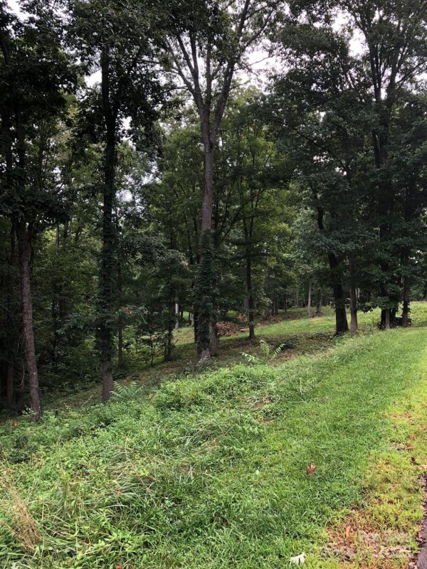 Property image 5 of 45 Sweet Fern Parkway in Olivette, Asheville, NC 28804