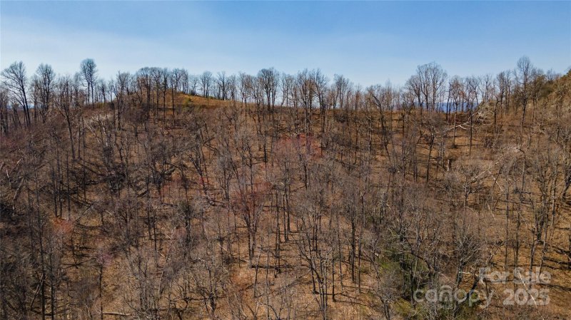 Property image 3 of 99 Devin Ridge Lane in Queens Gap, Union Mills, NC 28167