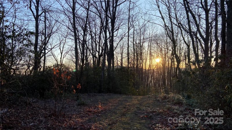 Property image 2 at 9999 Rocky Falls Drive, Black Mountain, NC 28711