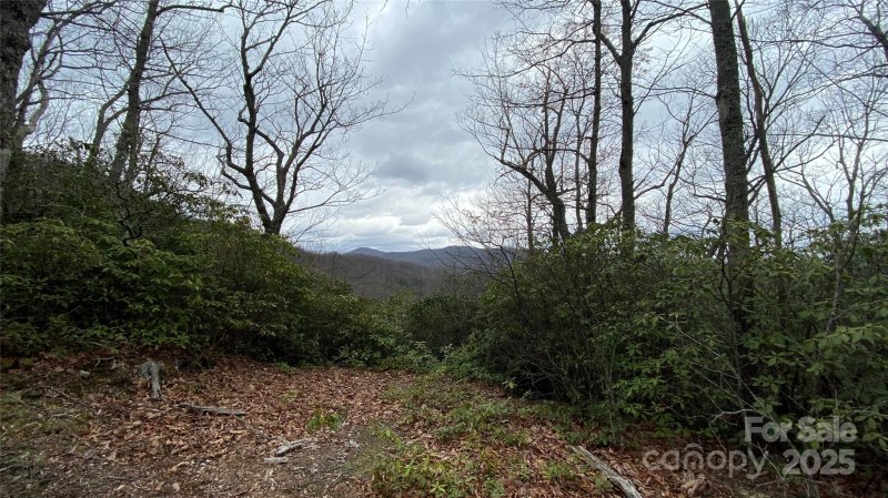 Property image 4 at 9999 Rocky Falls Drive, Black Mountain, NC 28711