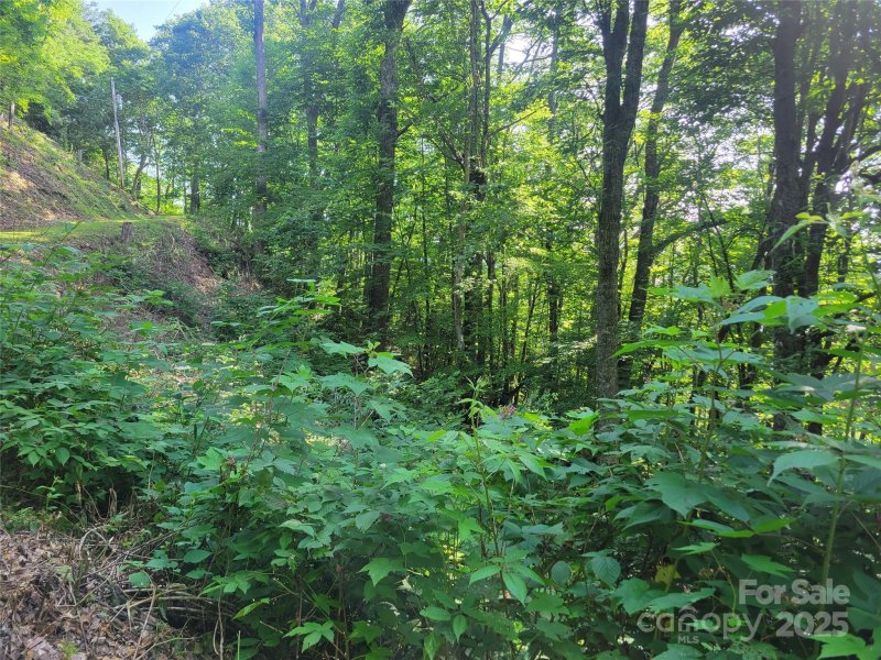 400 Mountain Laurel Road