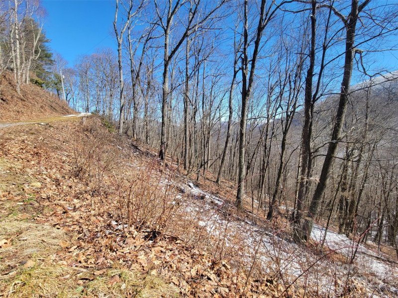 Property image 2 at 400 Mountain Laurel Road, Maggie Valley, NC 28751