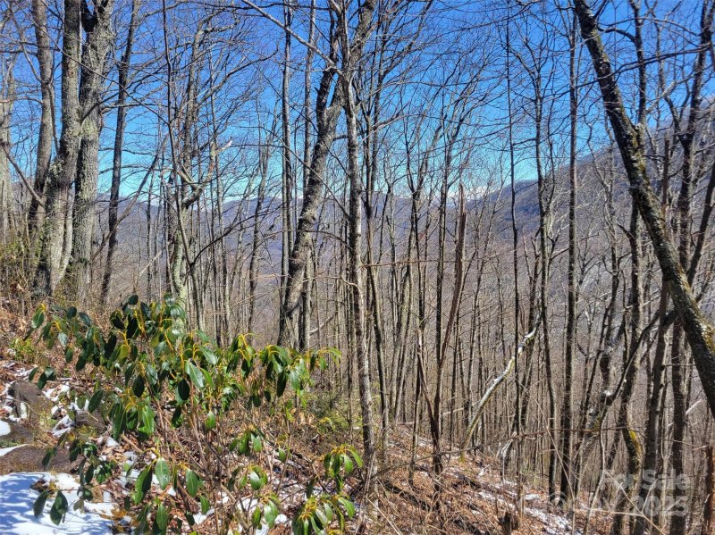 Property image 4 at 400 Mountain Laurel Road, Maggie Valley, NC 28751