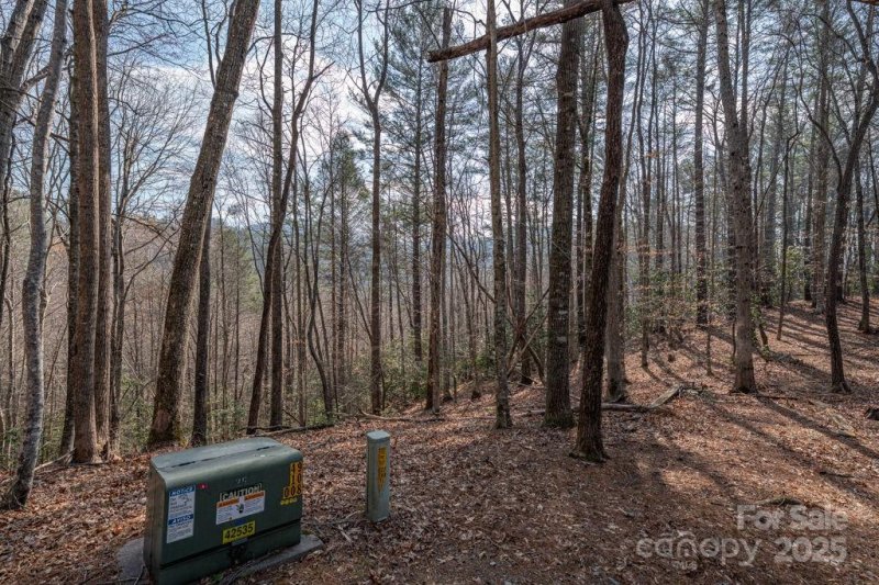 Property image 4 at 0 Wagon Ridge Road, Ferguson, NC 28624