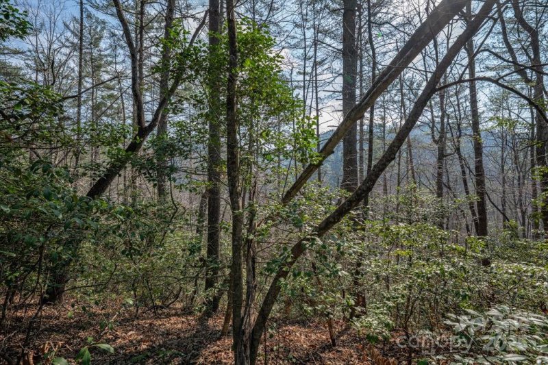 Property image 5 at 0 Wagon Ridge Road, Ferguson, NC 28624