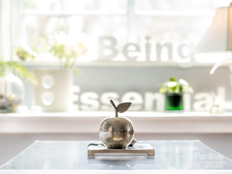 Property image 5 at 202 Aurora Drive, Asheville, NC 28805