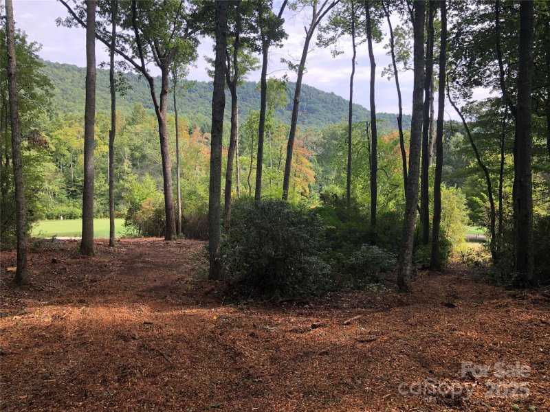 Property image 3 of 1304 Fawn Meadow Way in The Cliffs at Walnut Cove, Arden, NC 28704