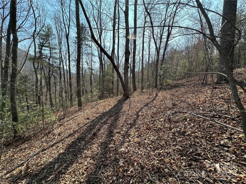 Property image 2 of Tbd Wood Stone Drive in Silverstone, Hendersonville, NC 28792