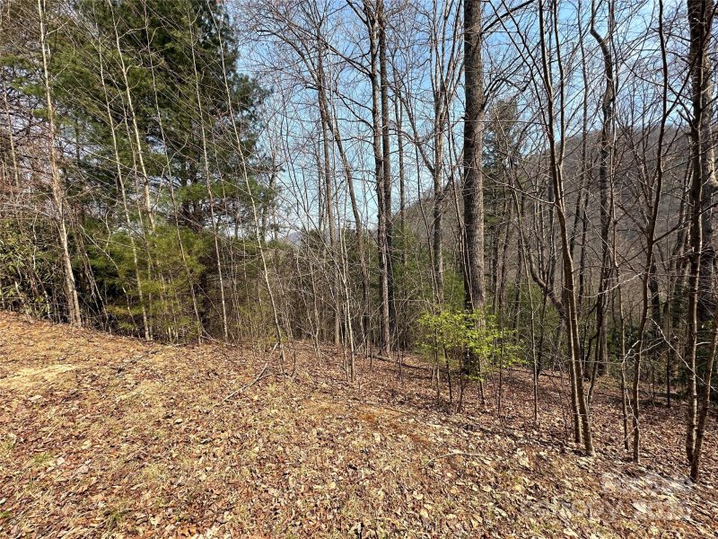 Property image 3 of Tbd Wood Stone Drive in Silverstone, Hendersonville, NC 28792