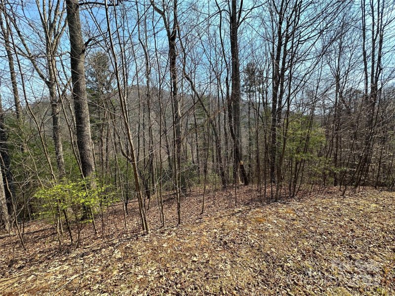 Property image 4 of Tbd Wood Stone Drive in Silverstone, Hendersonville, NC 28792