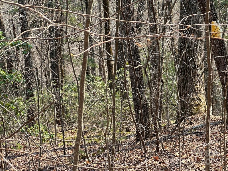 Property image 5 of Tbd Wood Stone Drive in Silverstone, Hendersonville, NC 28792