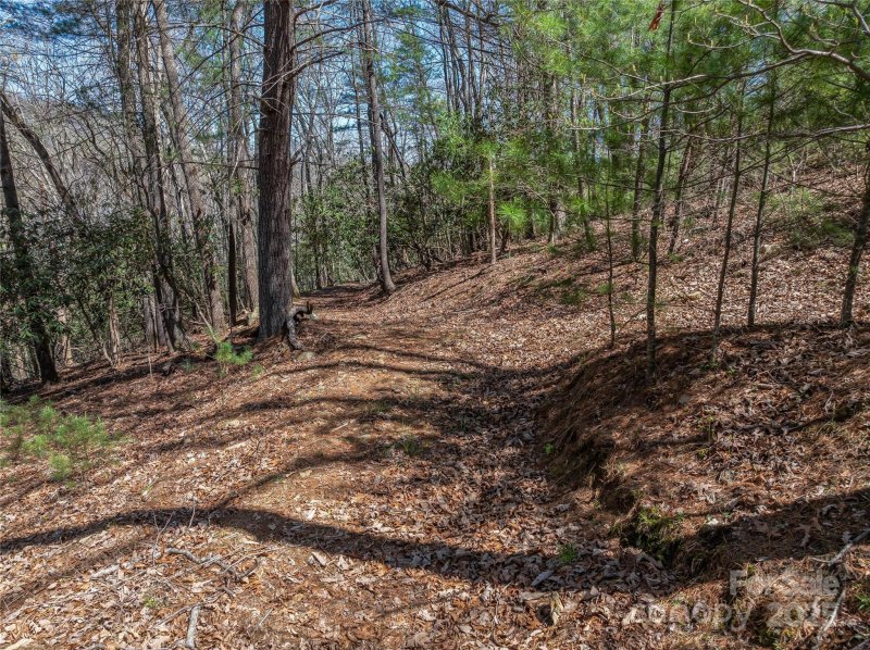 Property image 3 of 37 Dividing Ridge Trail in The Cliffs At Walnut Cove, Arden, NC 28704