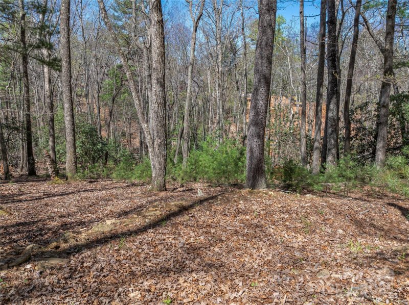 Property image 4 of 37 Dividing Ridge Trail in The Cliffs At Walnut Cove, Arden, NC 28704