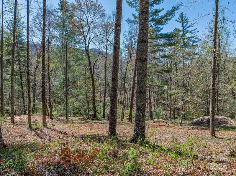 Property image 2 of 99999 Running Creek Trail in The Cliffs At Walnut Cove, Arden, NC 28704