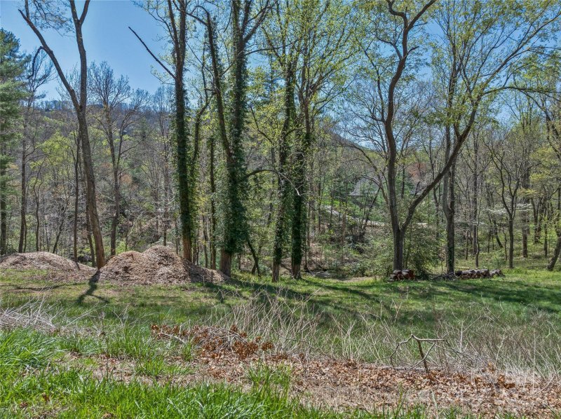 Property image 3 of 99999 Running Creek Trail in The Cliffs At Walnut Cove, Arden, NC 28704