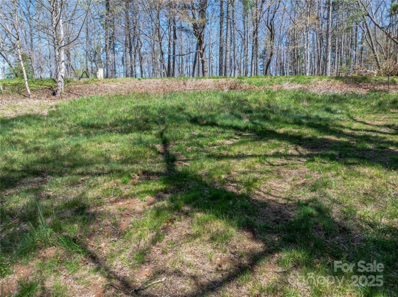 Property image 5 of 99999 Running Creek Trail in The Cliffs At Walnut Cove, Arden, NC 28704