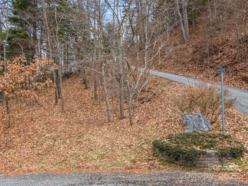 Property image 5 at 999 Secluded Forest Drive, Asheville, NC 28804