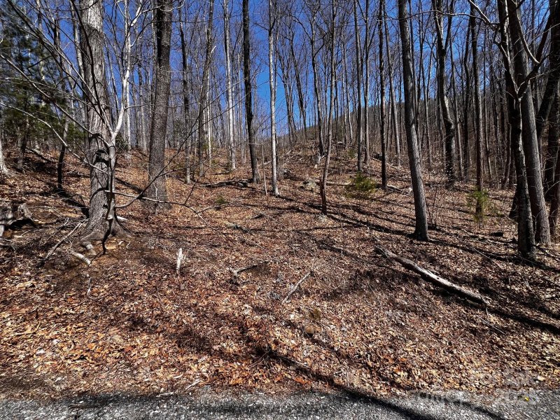 Property image 2 at 0 Rocky Face Drive, Canton, NC 28716