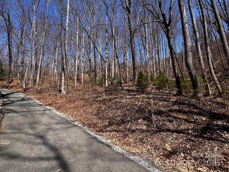 Property image 3 at 0 Rocky Face Drive, Canton, NC 28716