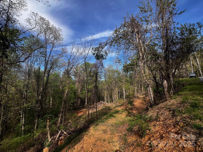 Property image 4 of 0 Little Creek Drive in Springdale Estates, Canton, NC 28716