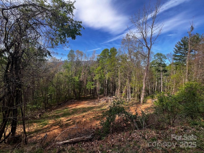 Property image 5 of 0 Little Creek Drive in Springdale Estates, Canton, NC 28716