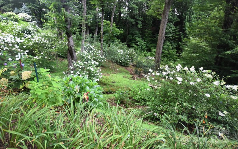 Property image 5 at 140 Slim Ridge, Maggie Valley, NC 28751