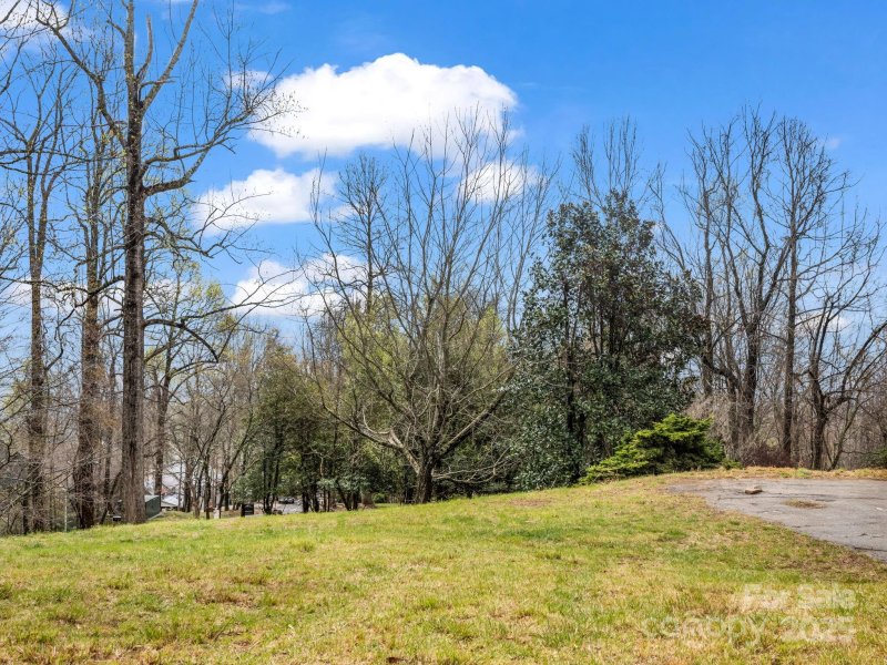 Property image 3 of 5 Chestnut Top Circle in High Vista, Mills River, NC 28759