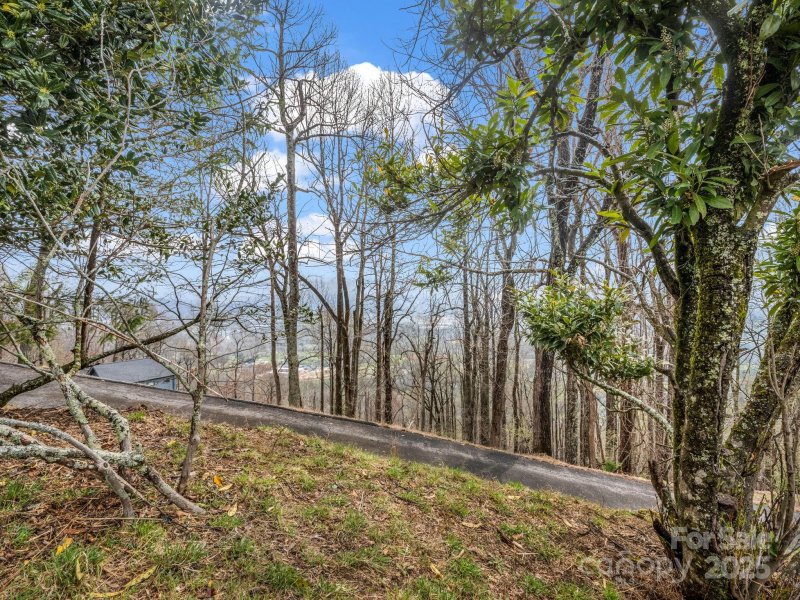 Property image 5 of 5 Chestnut Top Circle in High Vista, Mills River, NC 28759