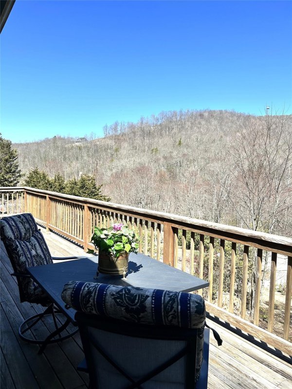 Property image 3 at 140 Plott Balsam Road, Maggie Valley, NC 28751