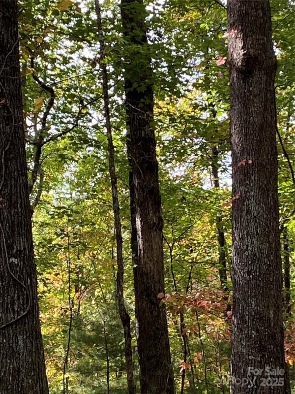 Property image 3 of Lot 28 Mentink Way in Hidden Lake, Nebo, NC 28761