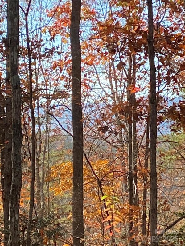 Property image 4 of Lot 28 Mentink Way in Hidden Lake, Nebo, NC 28761