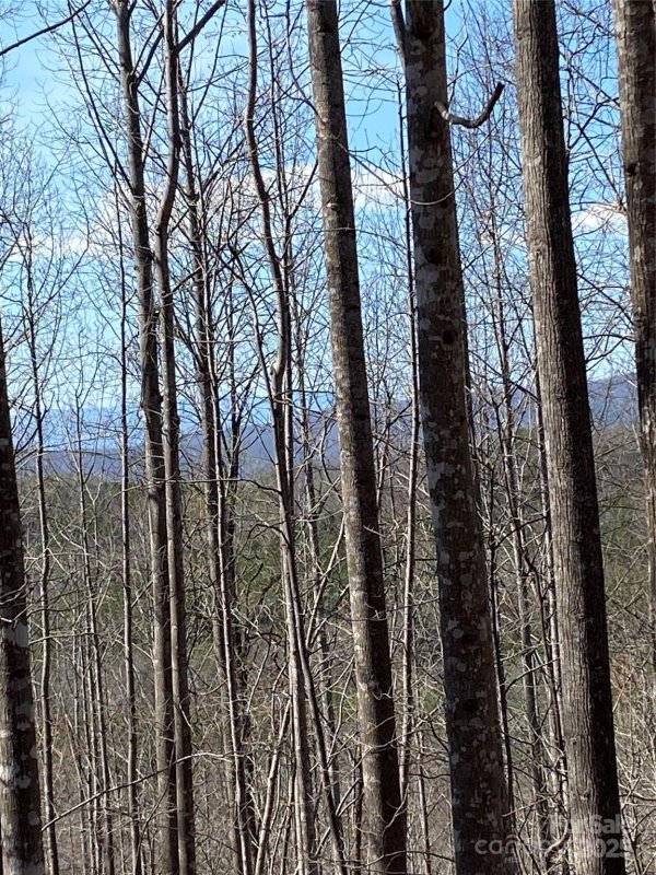 Property image 5 of Lot 28 Mentink Way in Hidden Lake, Nebo, NC 28761