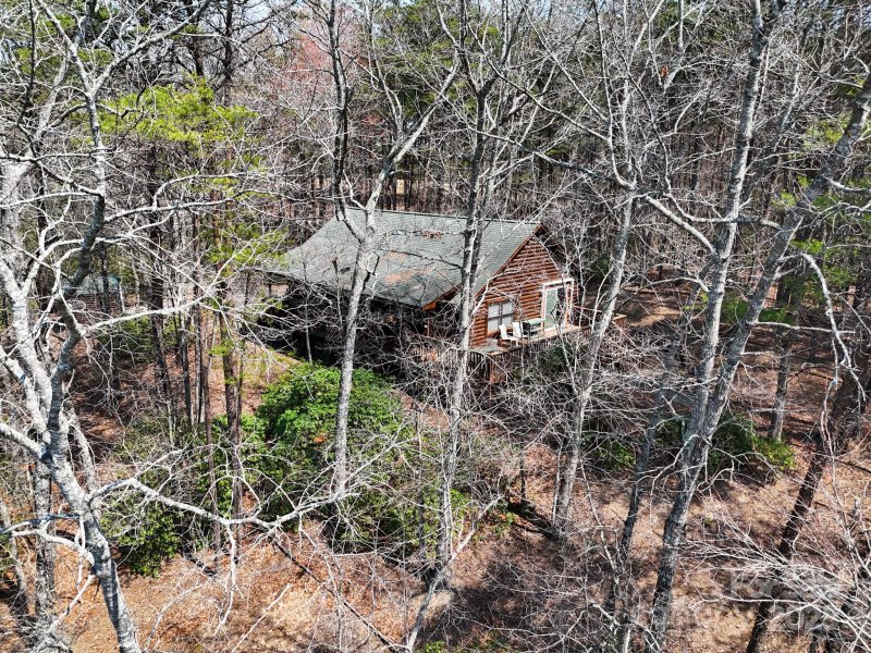 Property image 3 of 194 Long Ridge Drive in Sweetbriar Farms, Lake Lure, NC 28746