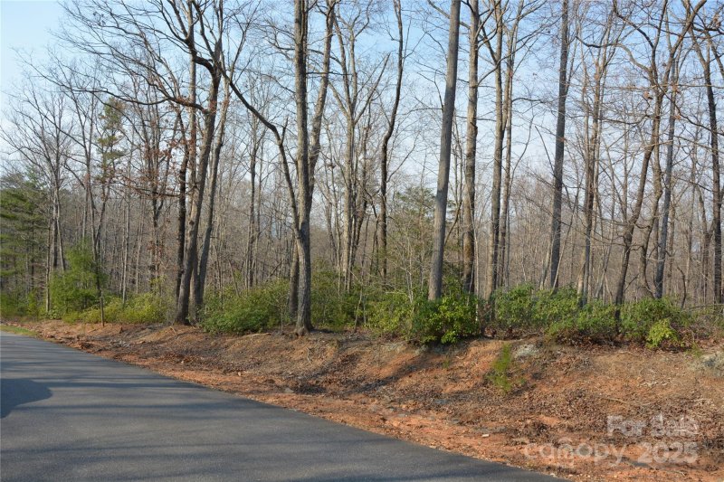 Property image 2 at Lot 78 Big Branch Drive, Marion, NC 28752