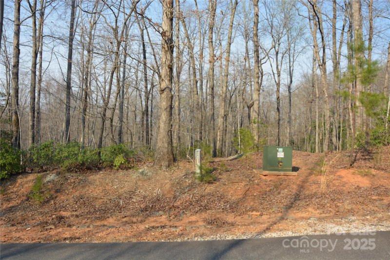 Property image 3 at Lot 78 Big Branch Drive, Marion, NC 28752