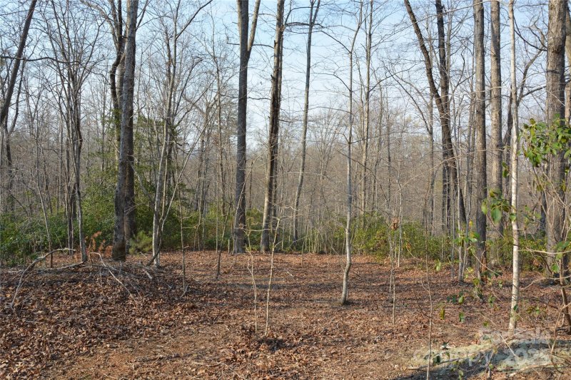 Property image 4 at Lot 78 Big Branch Drive, Marion, NC 28752
