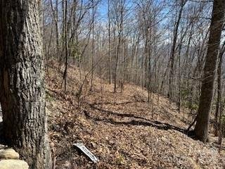 Property image 4 of 28 Angel Road in Utah Mountain Estates, Waynesville, NC 28785